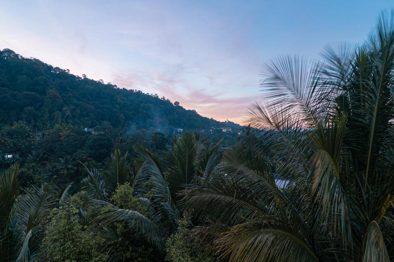 Sun Set Forest Villa 캔디 외부 사진